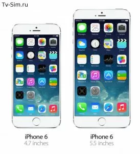 Какой аккумулятор будет в iPhone 6 ?