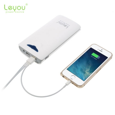 LeYou 16800mAh (2 USB) 